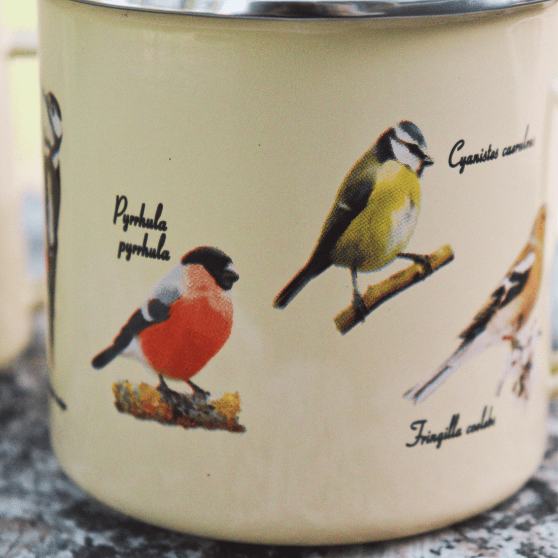 Trp Post Container Data Trp Post Id 12410 Taza Esmaltada Pájaros Trp Post Container