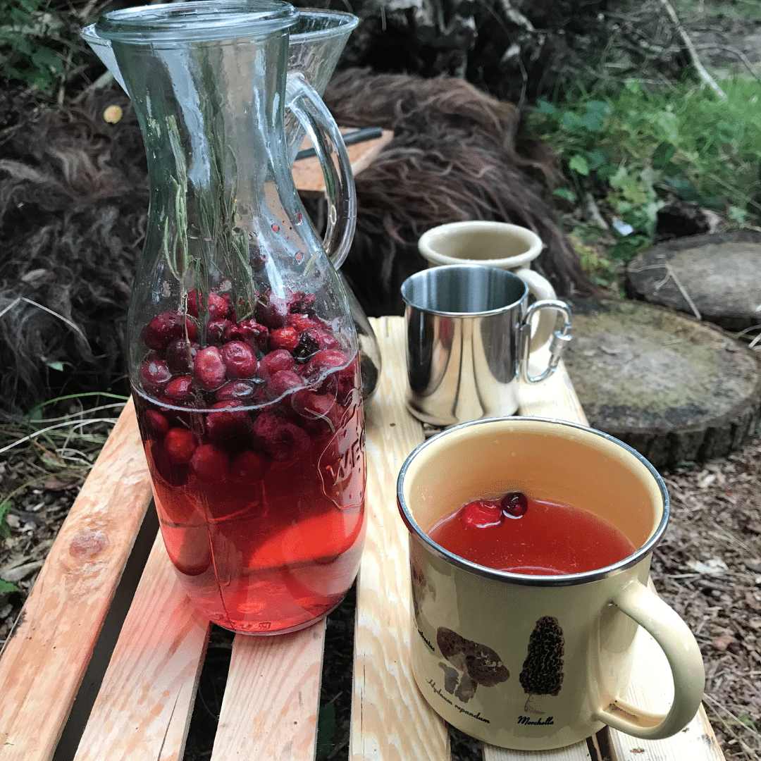 Enamel mug mushroom with table water pineut