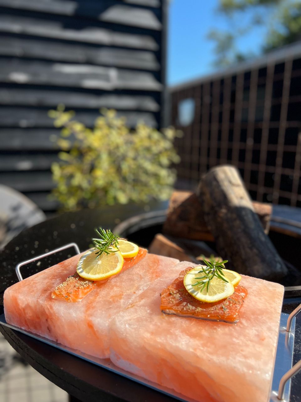 Til je kookkunsten naar een hoger niveau met de BBQ Pro Til je kookkunsten naar een hoger niveau met de BBQ Pro
