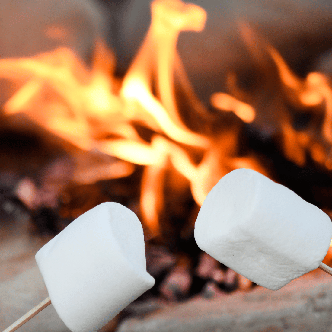 Marshmallows roosteren kampvuur