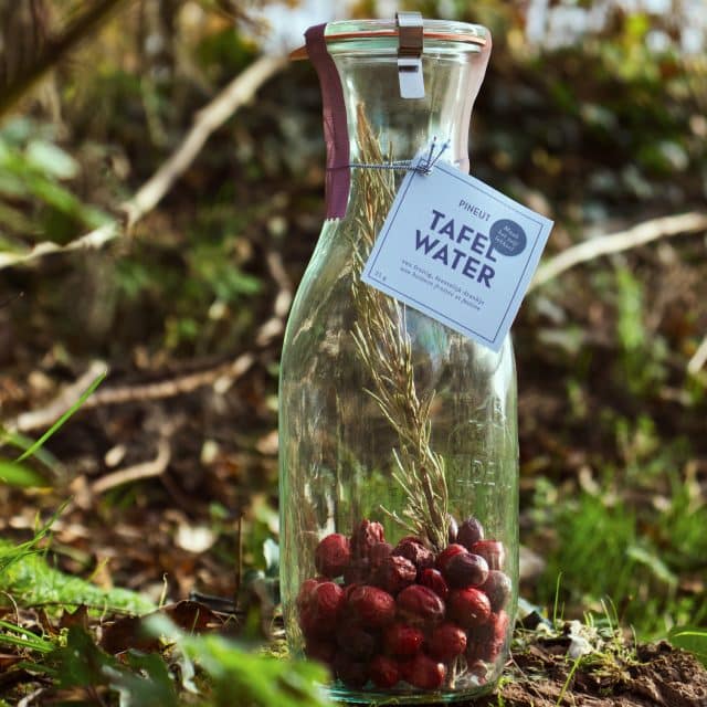 Tafelwater Cranberry kruiden Pineut