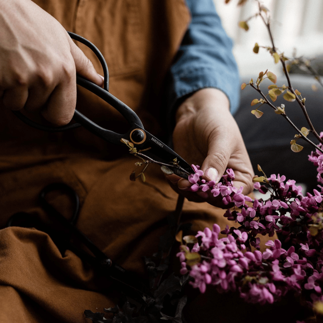 Luxury pruning shears from Barebones