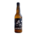 Das Helios Dry hopped Weizen brouwerij Astronaut