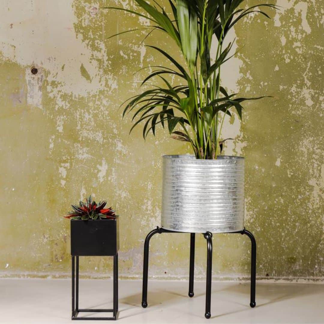 Senza bloemvat zilver met plant