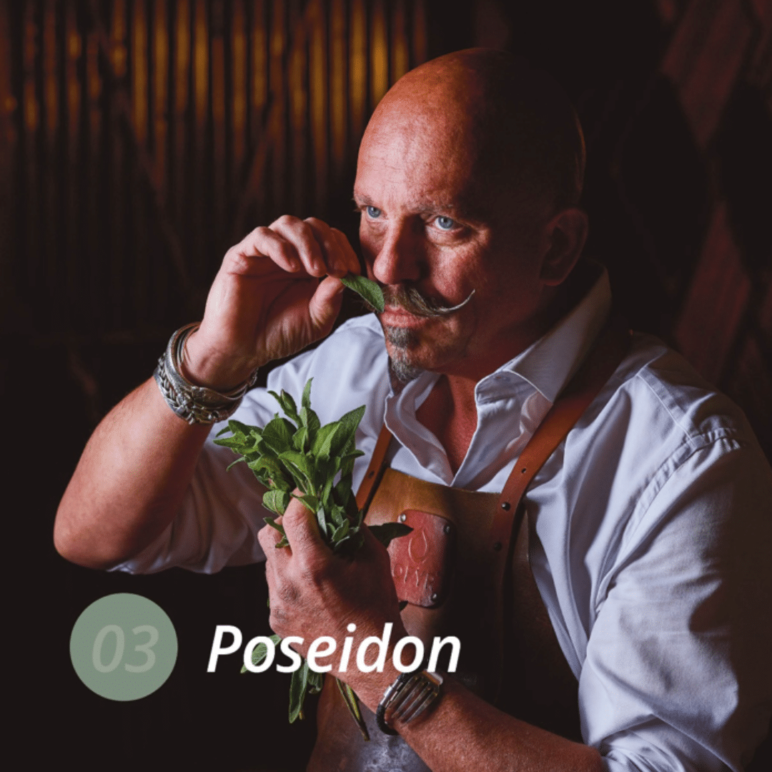 poseidon 03 poseidon 03