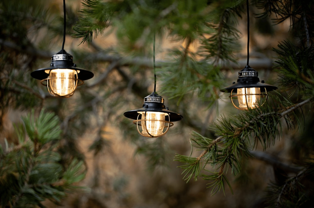 Tuinverlichting barebones string light
