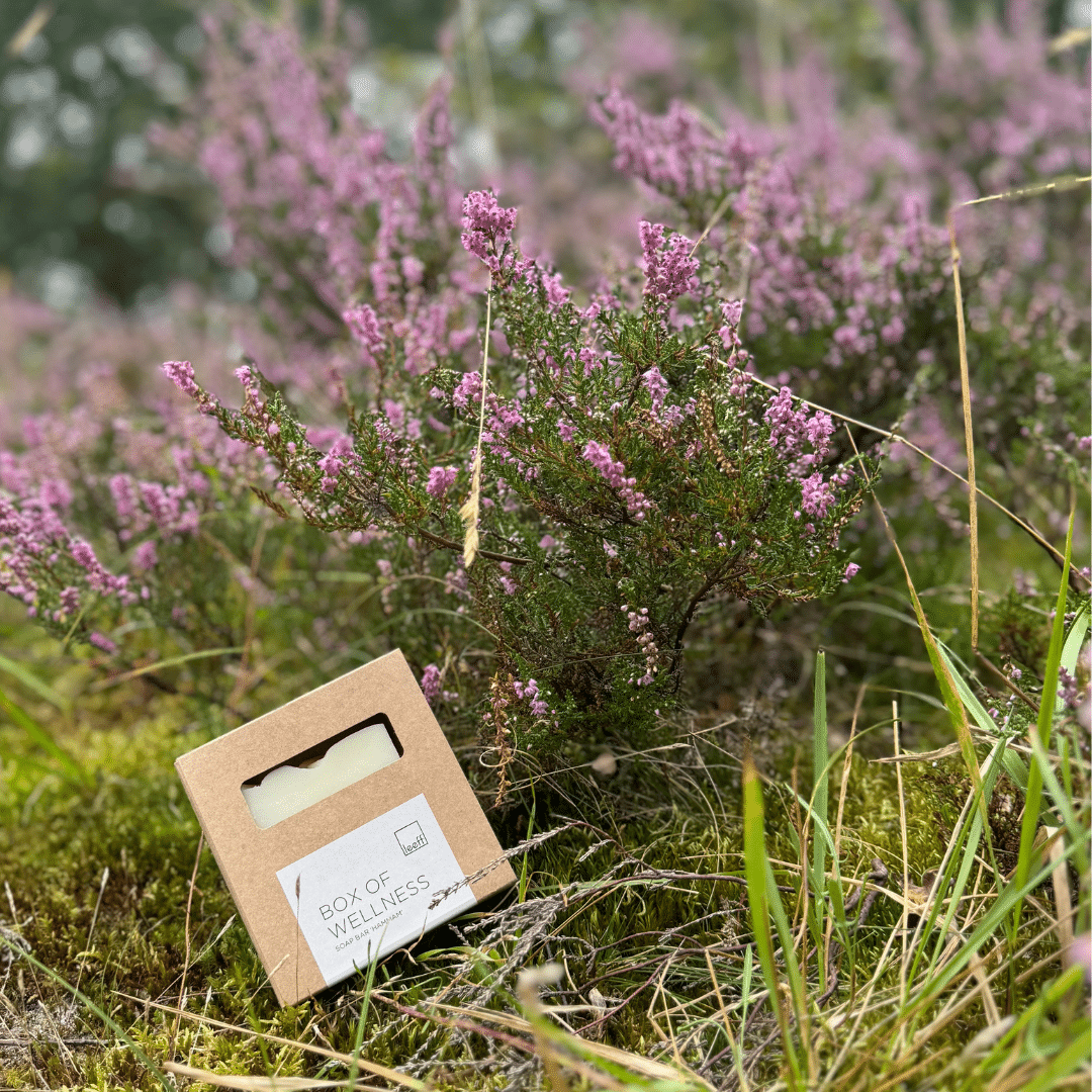 box of wellness soap bar van leeff bij de bloemen